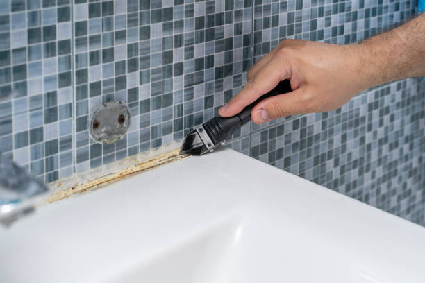 Best Professional Mold Removal  in Brookmont, MD